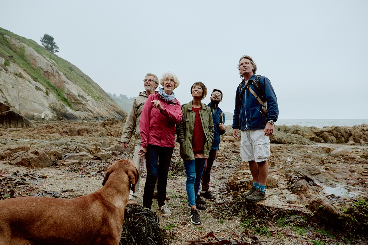 Eine Gruppe von Leuten mit einem Hund, die an einem felsigen Strand wandern.